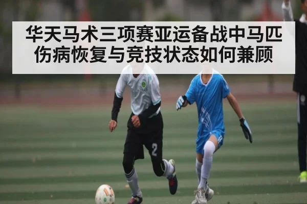 华天马术三项赛亚运备战中马匹伤病恢复与竞技状态如何兼顾
